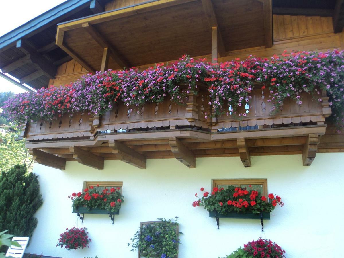 Bergblick Apartamento Wagrain Exterior foto
